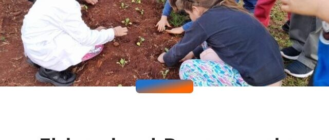 Eldorado: el Programa de Huertas Escolares llegó a la Escuela N° 896